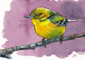 Little Yellow Bird