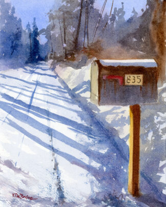 mailbox-rural-road